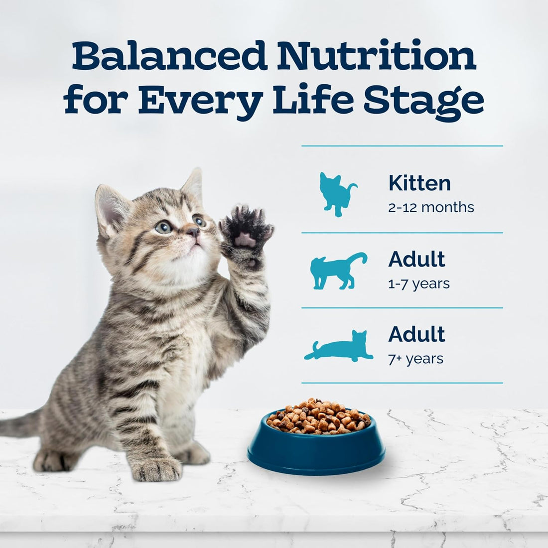 Blue Buffalo Tastefuls Chicken Kitten Dry Cat Food, 3 lb