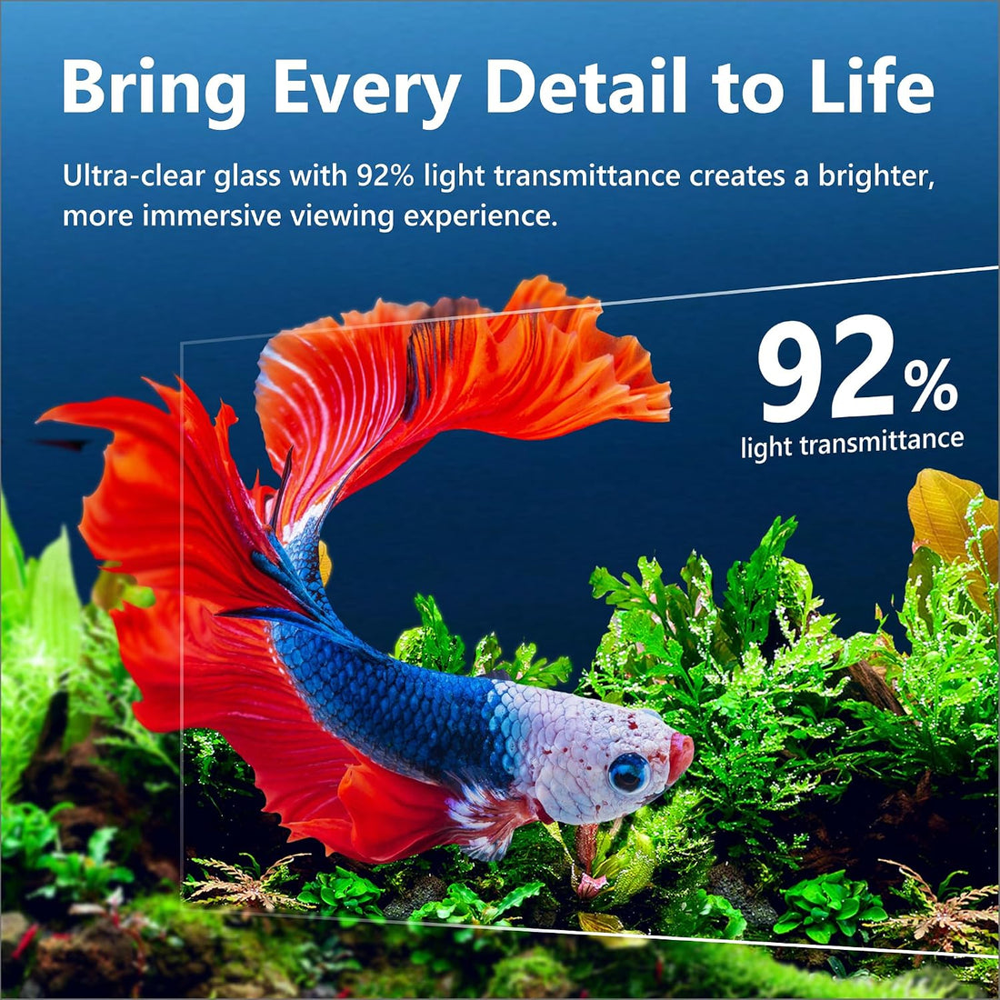 Hjarta 3 Gallons Fish Tank, Ultra-Clear Rimless Aquarium
