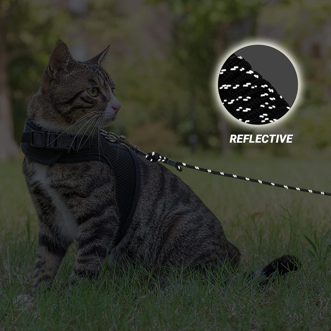 Cat Leash, 15 ft & 30 ft Reflective Long Pet Leash for Outdoor Use
