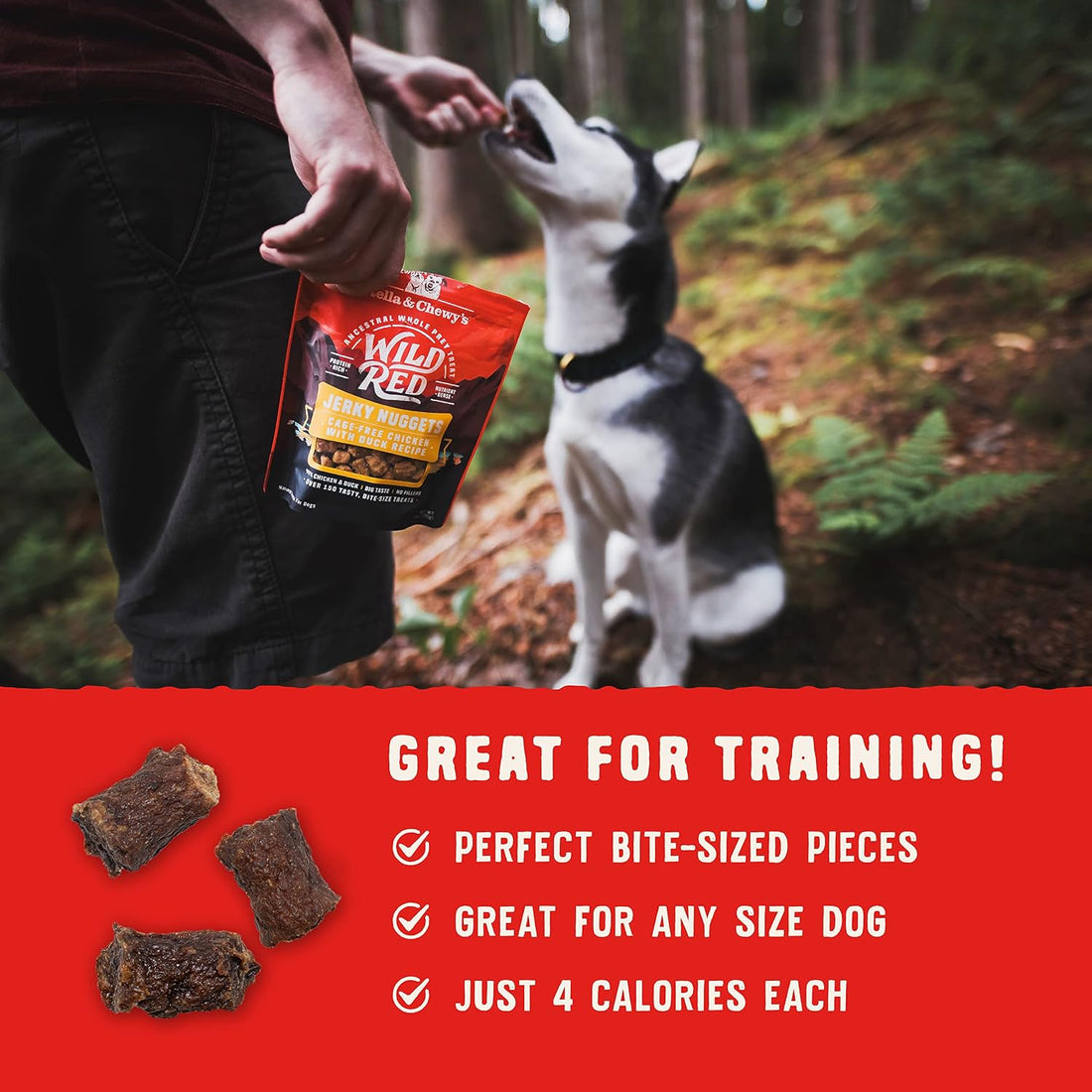 Stella & Chewy's Wild Red Jerky Nuggets