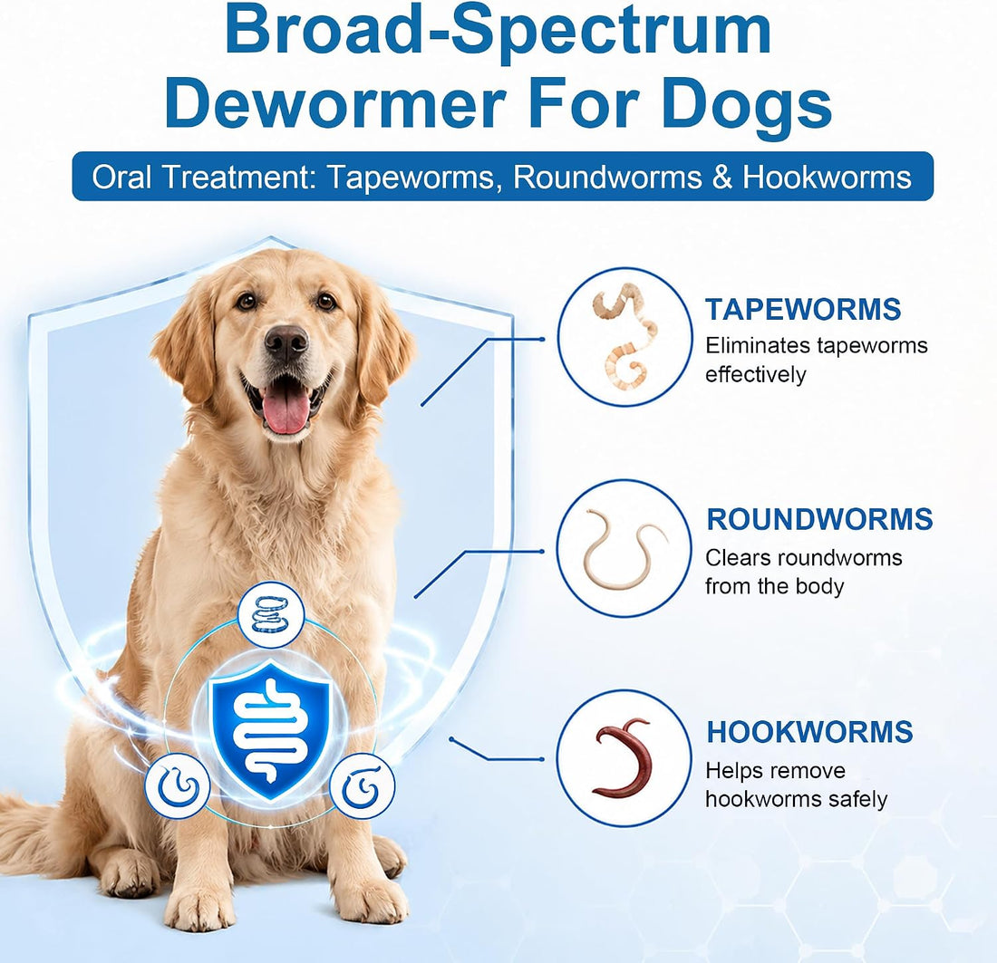 Dewormer for Dogs, Oral Treatment of Tapeworm