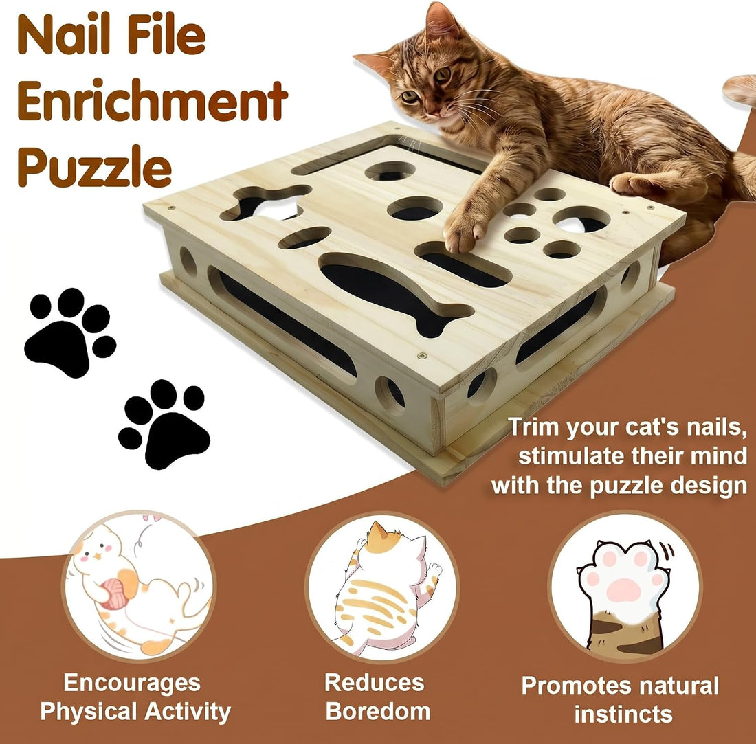 2026 NEW Cat Nail File Scratcher
