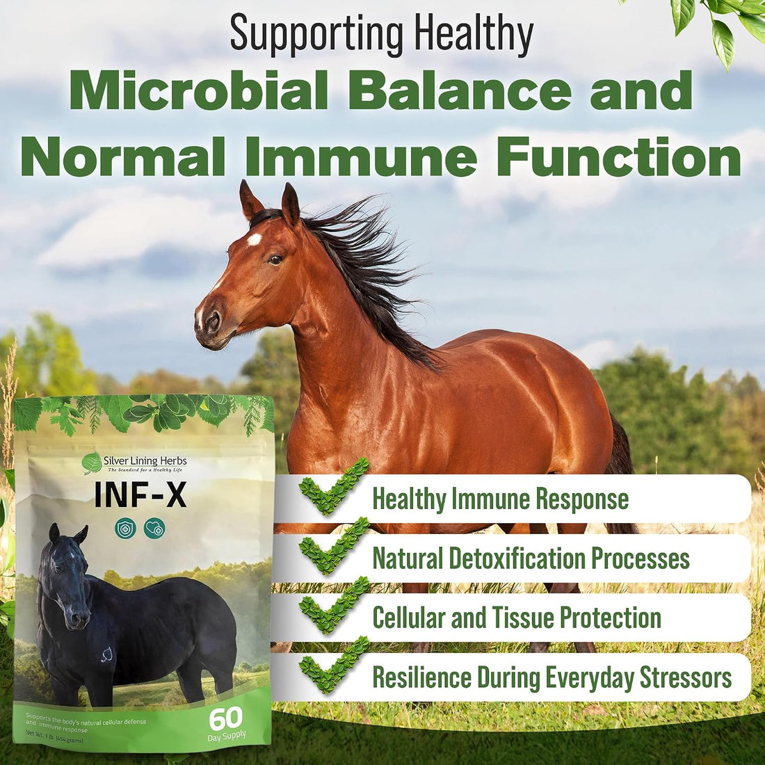 Silver Lining Herbs INF-X Horse Immune Booster Supplement - 1 lb