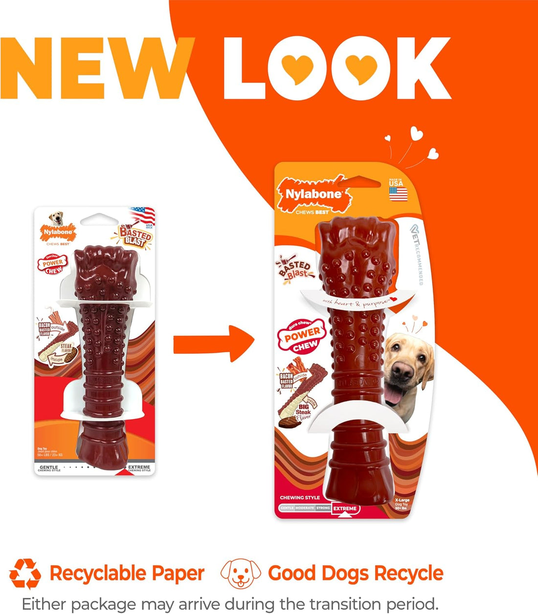 Nylabone Textured Bone Power Chew Toy for Dogs