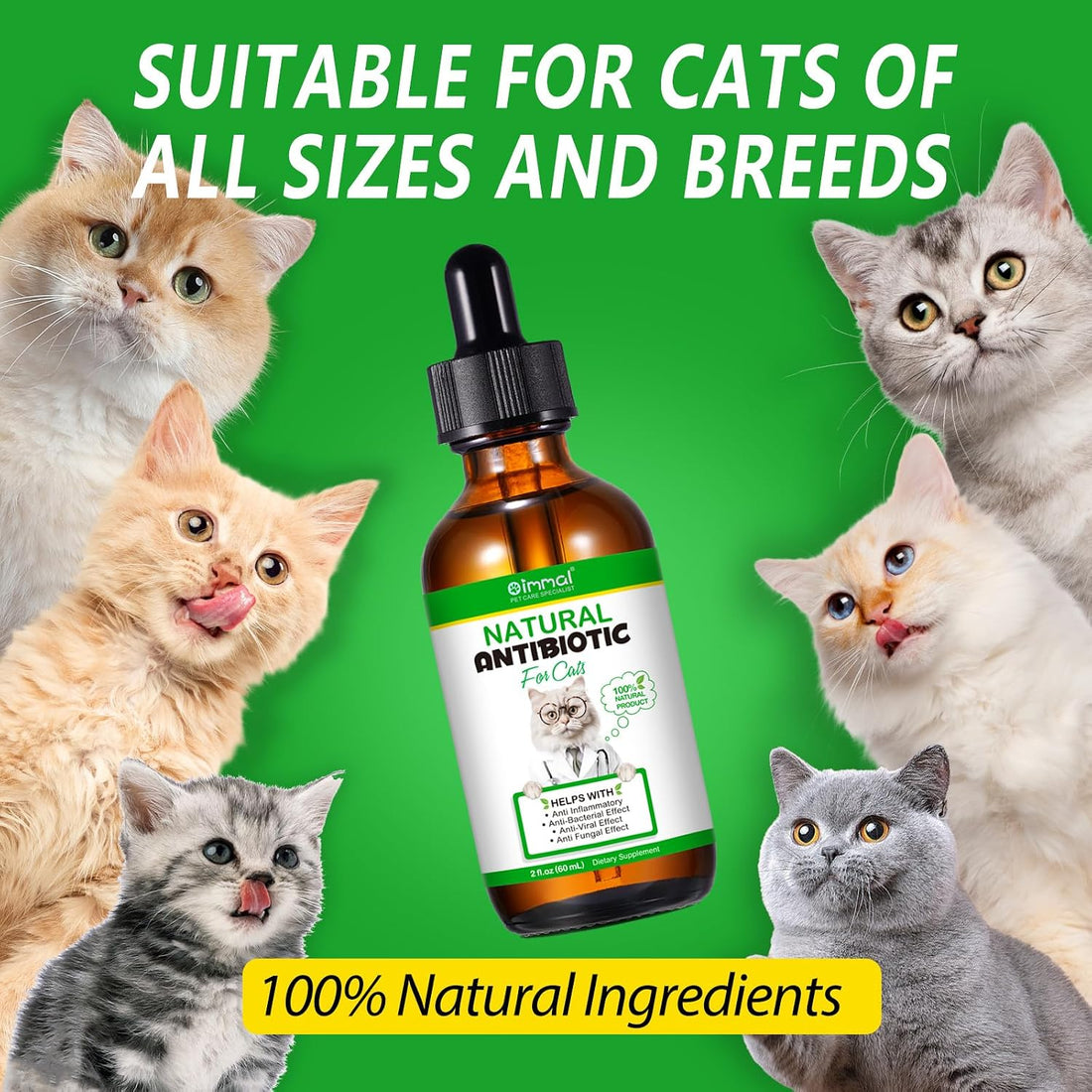 Antibiotics for Cats, Natural Antibiotic Pet Supplements Supports
