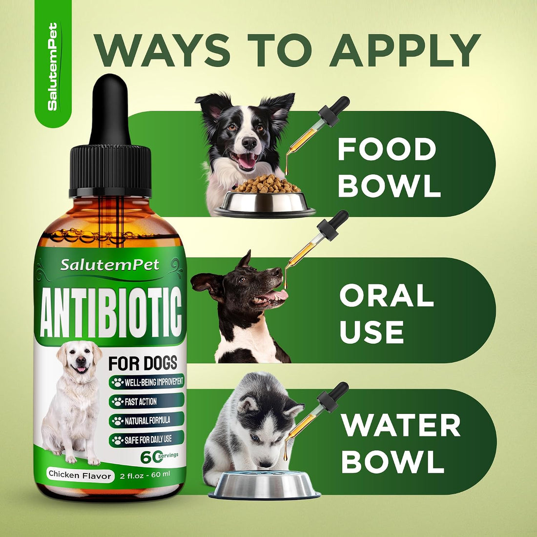 Dog Antibiotics for Infections, Cough, & Itching