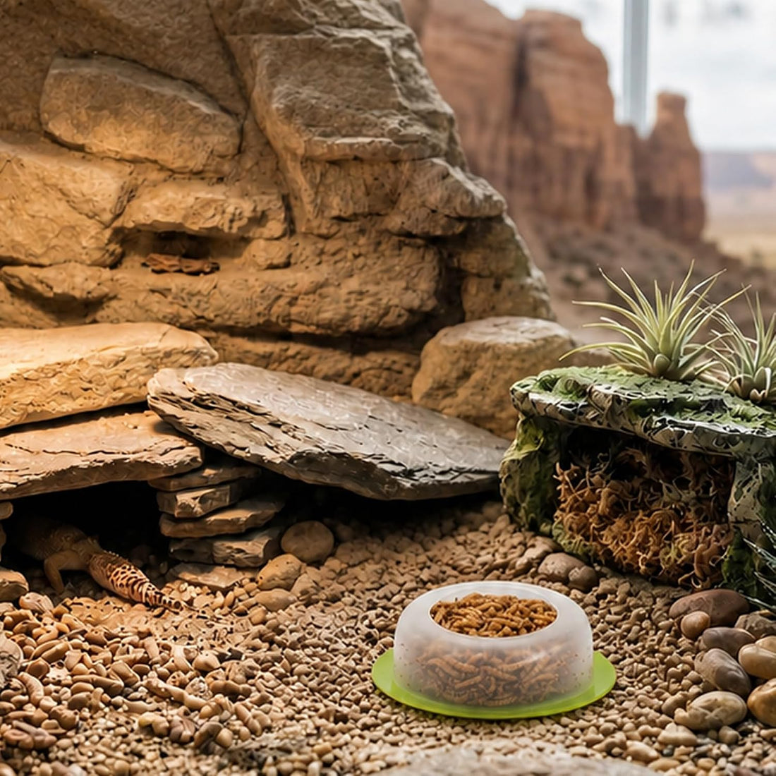 BETTERDAY Reptile Food Dish, Anti-Escape Feeder Bowl, Large 1-Pack