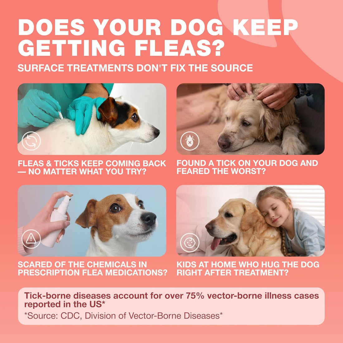 Dog Flea and Tick Treatment Chews - Flea and Tick Prevention for Dogs