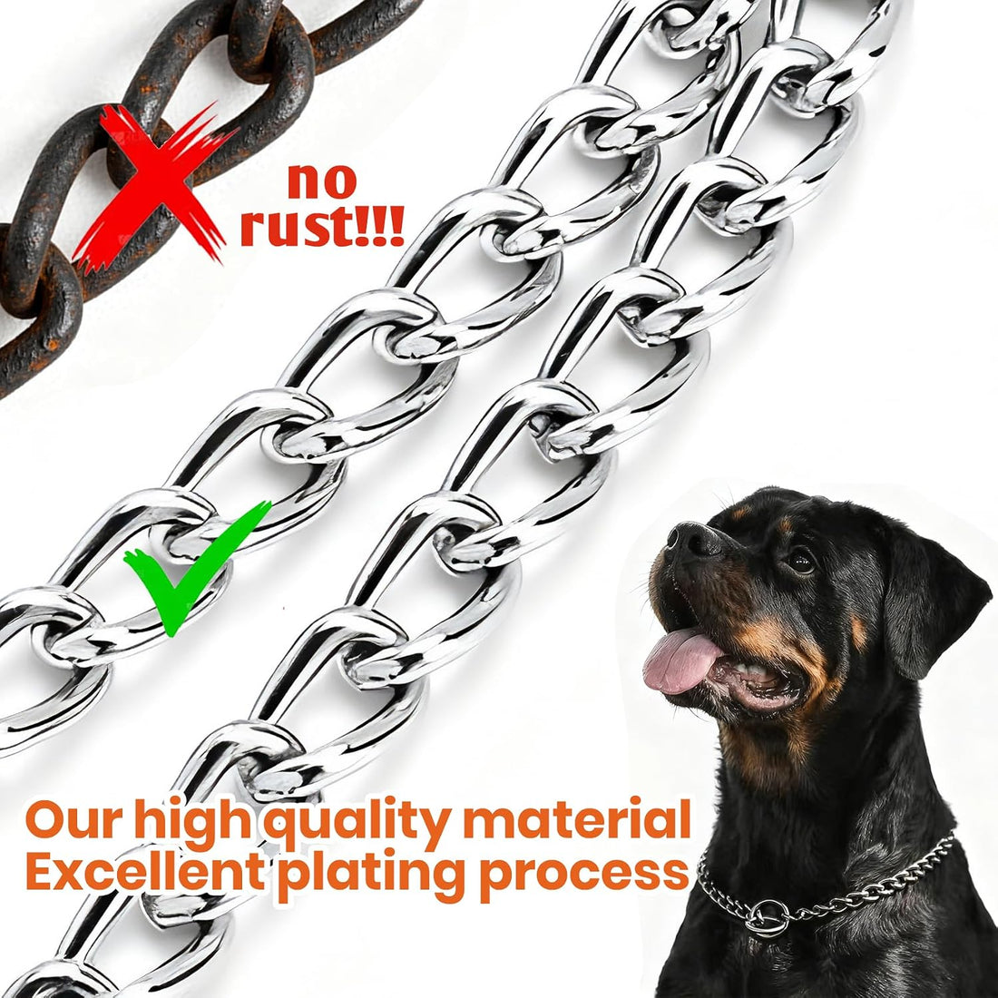 Martingale Dog Collar for Small Dogs
