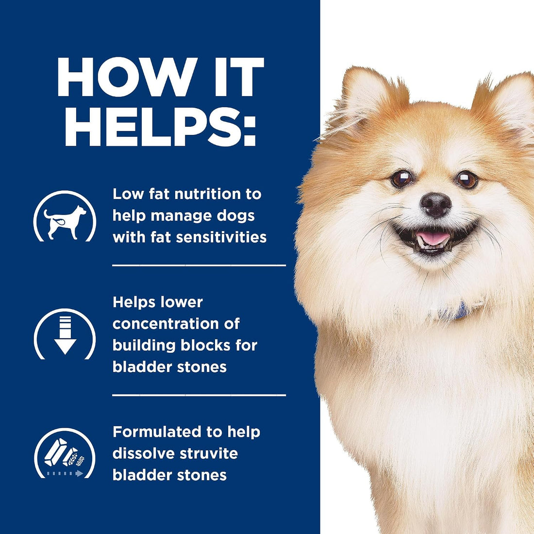 Hill's Prescription Diet c/d Multicare Low Fat Urinary Care Dry Dog