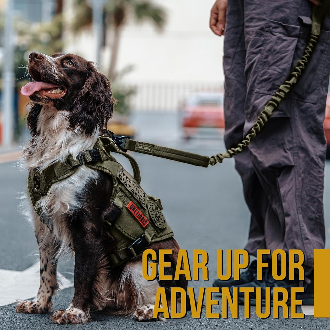 OneTigris Tactical Bungee Leash with 2 Handles Quick Release