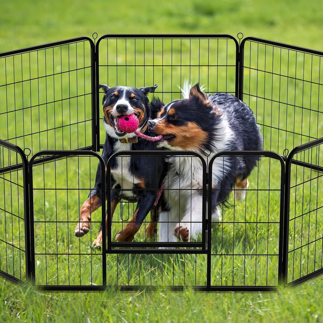 NEWBULIG Dog Playpen for Indoor 32 Inch 8 Panels