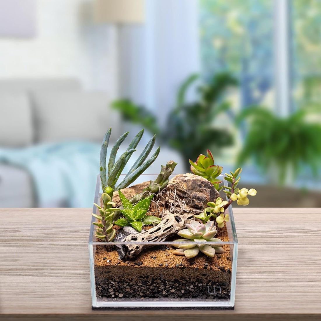 SubstrateSource Natural Cholla Wood - 3PC