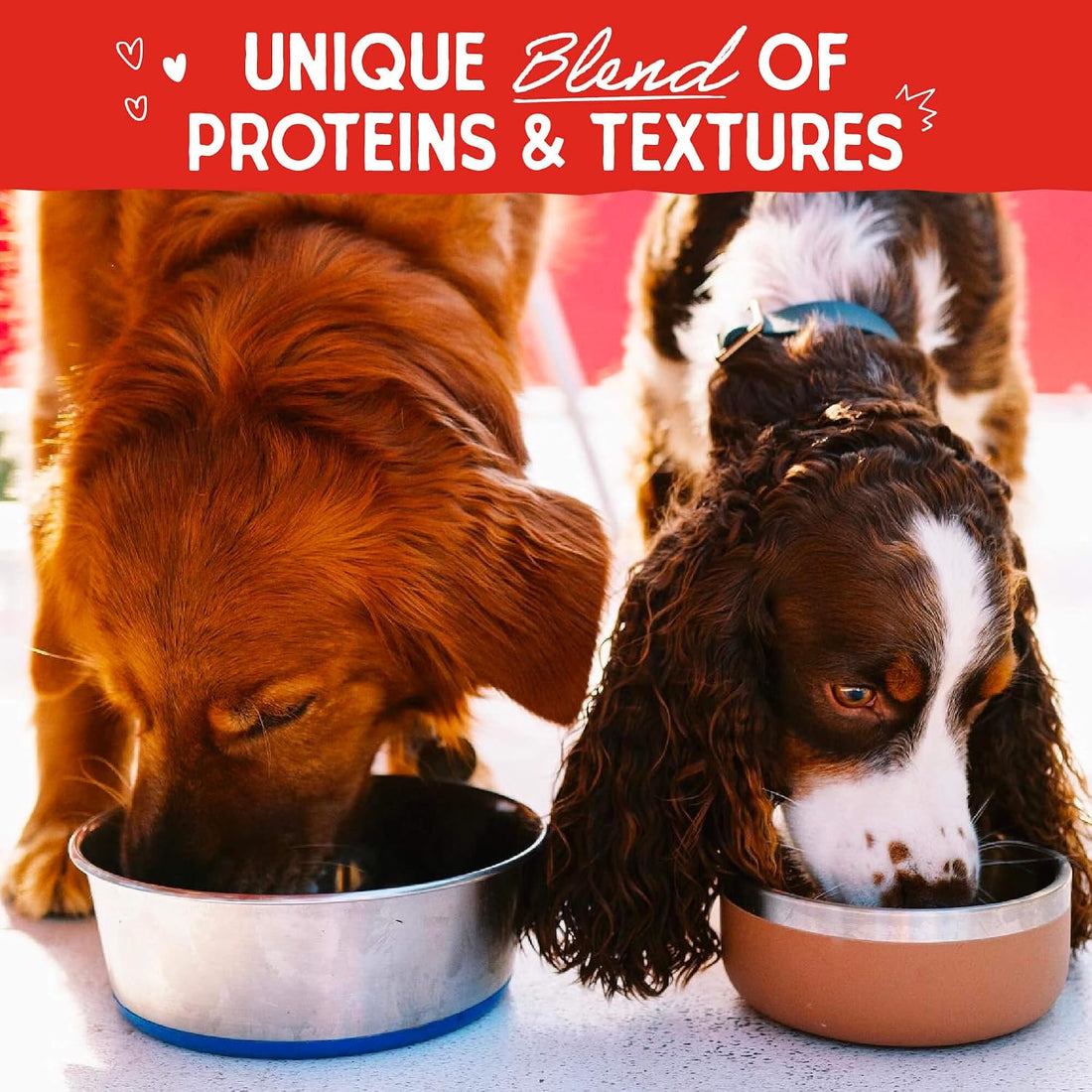 Stella & Chewy's Baked Kibble, Raw Blend