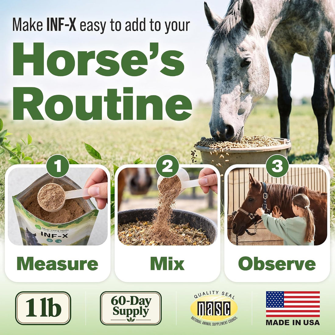 Silver Lining Herbs INF-X Horse Immune Booster Supplement - 1 lb