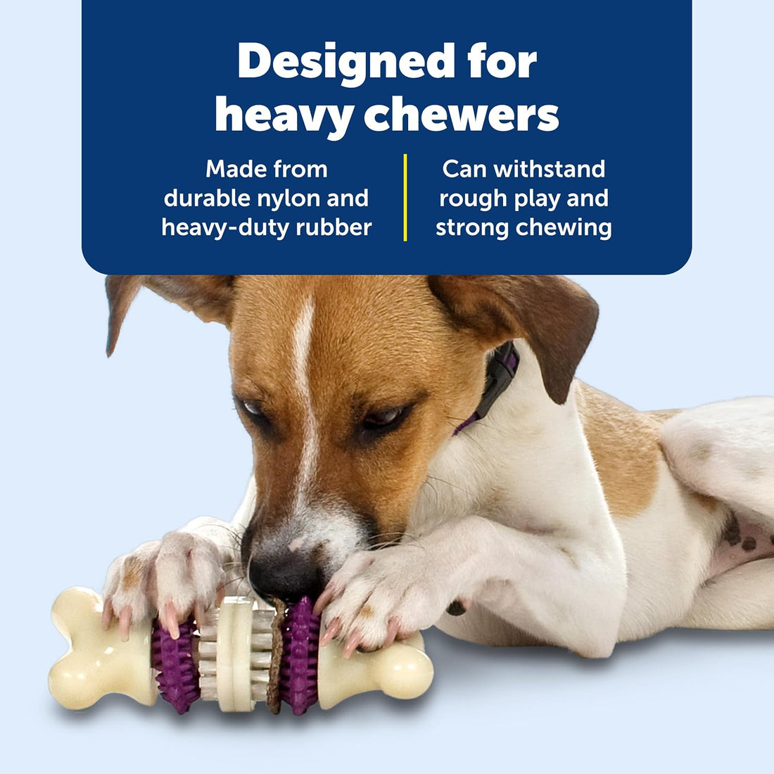 PetSafe Busy Buddy Bristle Bone Dog Chew Toy