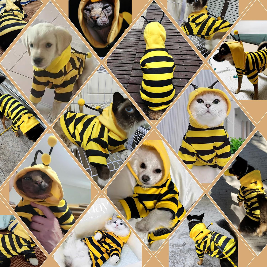 DENTRUN Sphynx Cat Sweater, Funny Bee Costume & Warm Breathable Top