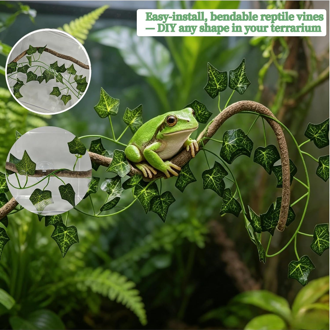 Bearded Dragon Tank Accessories, Terrarium Decor, Ball Python