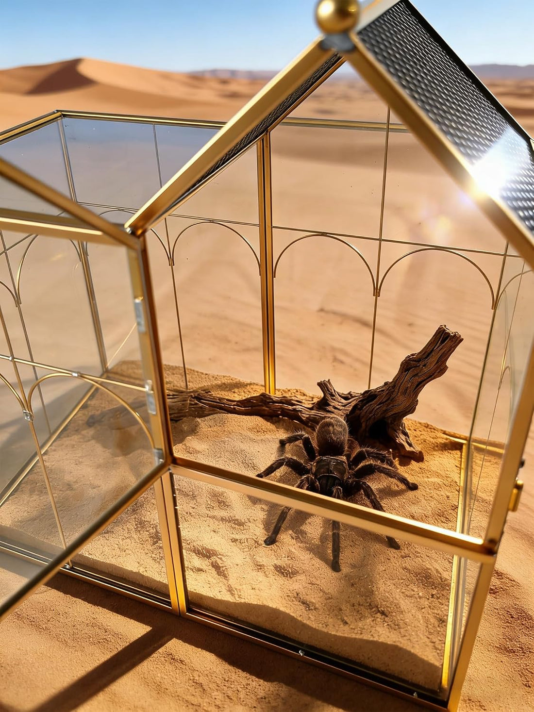 Ready-to-Use Glass Terrarium with Vents