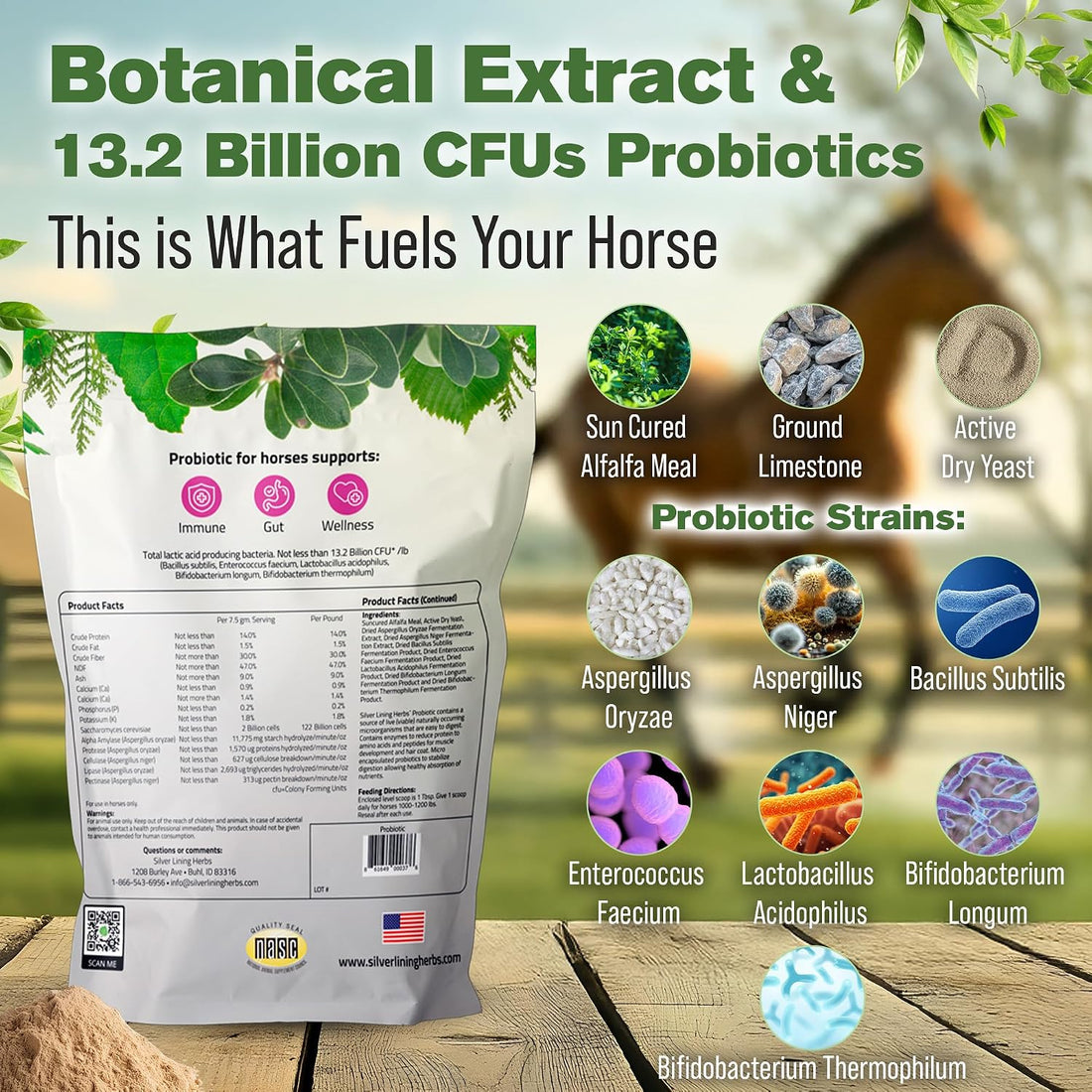Silver Lining Herbs Horse Probiotics Digestive Supplement - 1.25 lb