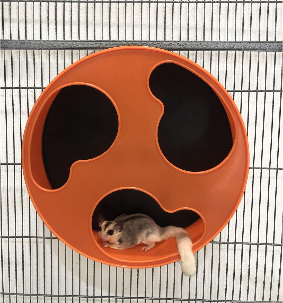 Silent Runner 12" Regular | Wheel + Cage Attachment | Sugar Gliders