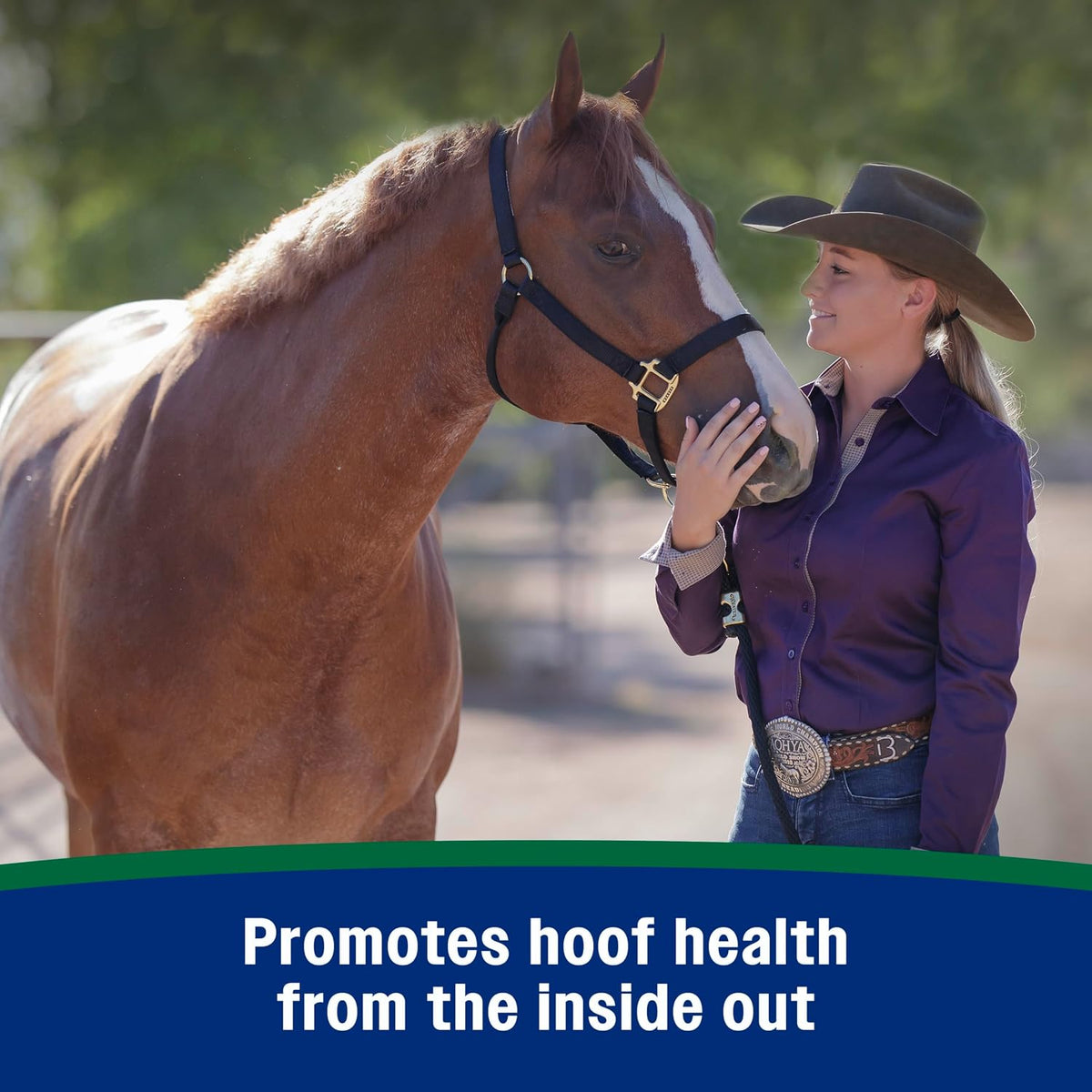 Farnam Horseshoer's Secret Pelleted Hoof & Biotin Supplements