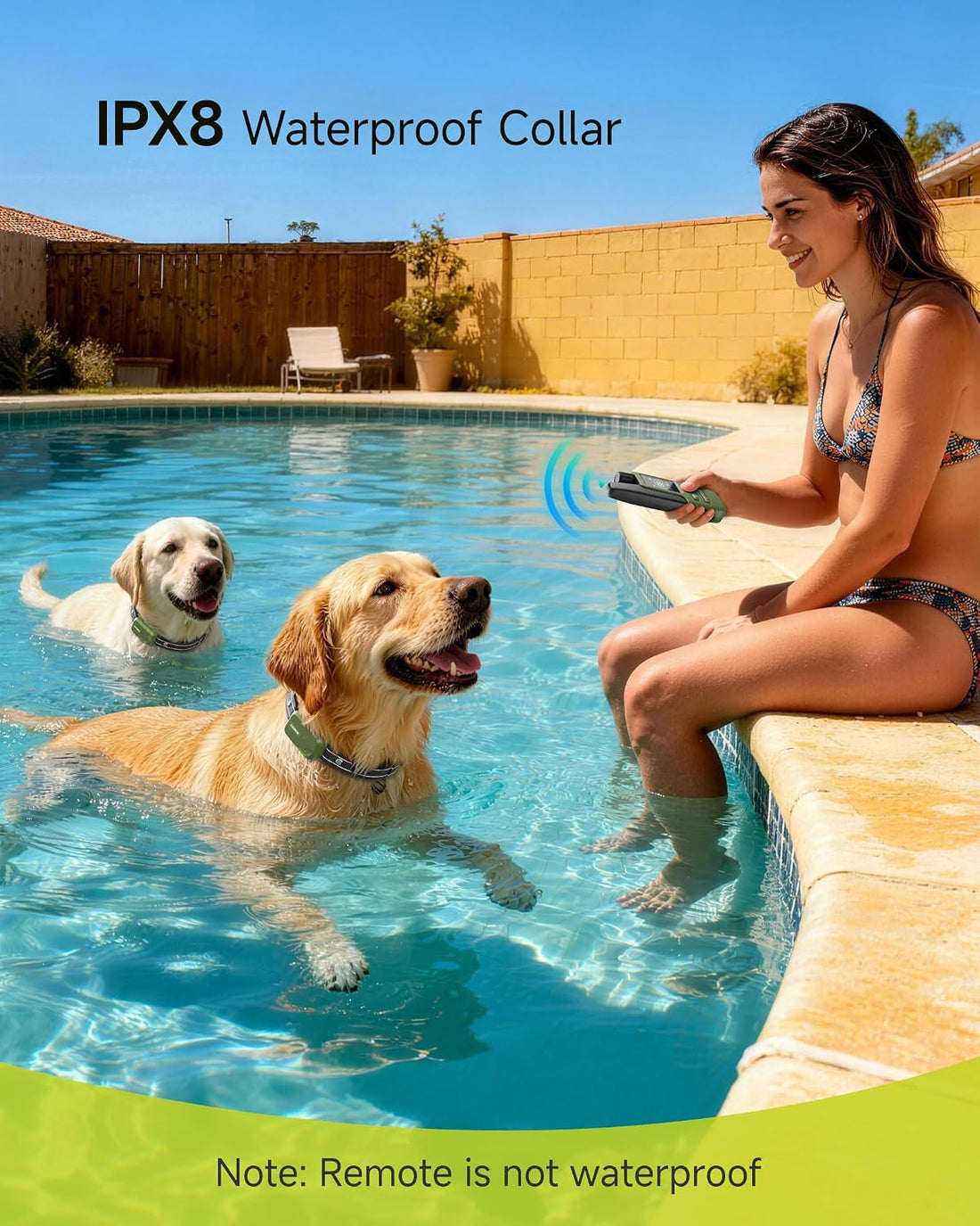 Shock Collar for 2 Dogs with Remote, 4200FT Range, Fits 10-120 lbs