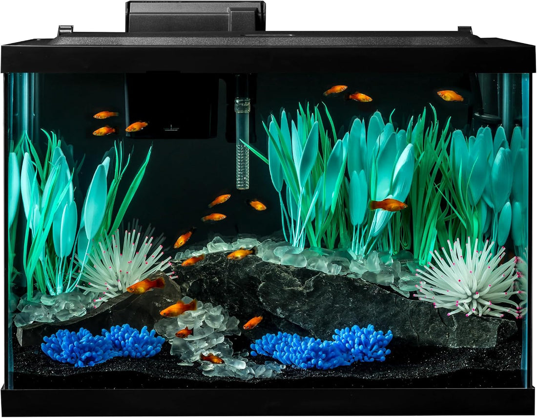 Tetra ColorFusion 20 Gallon Complete Aquarium Kit