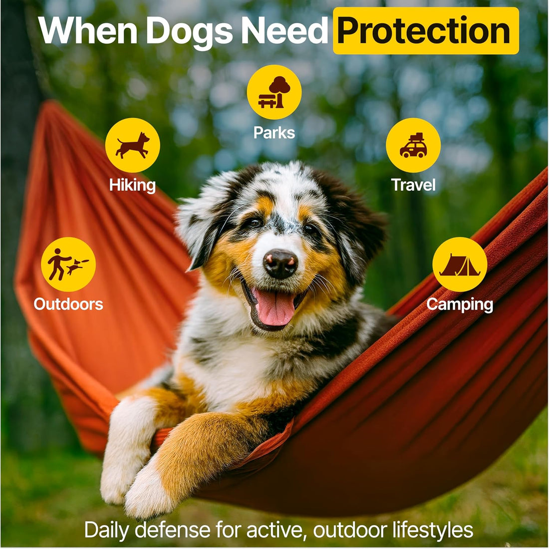 Flea and Tick Prevention for Dogs Chewable
