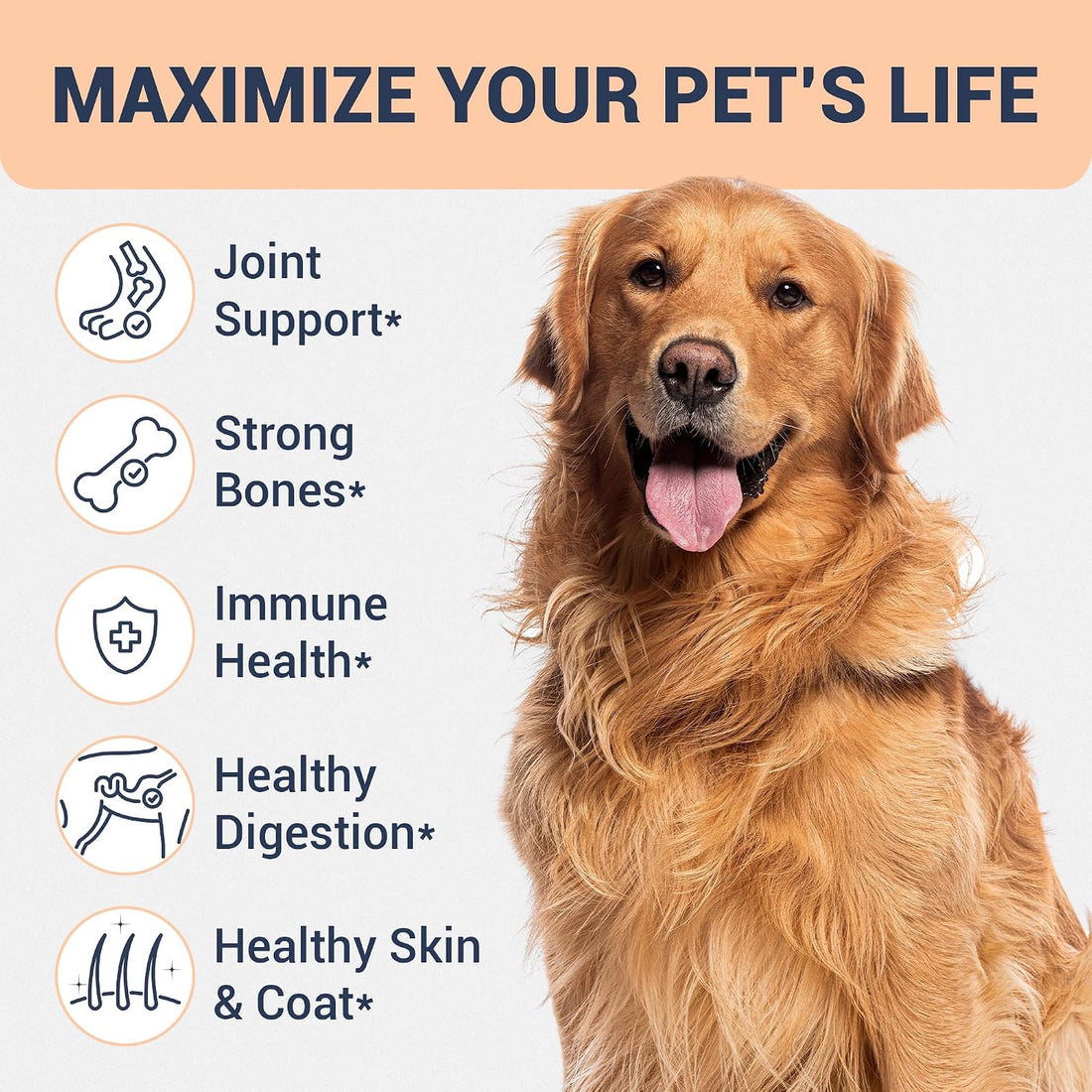 Beef Bone Broth for Dogs. High Protein Human Grade Food Topper