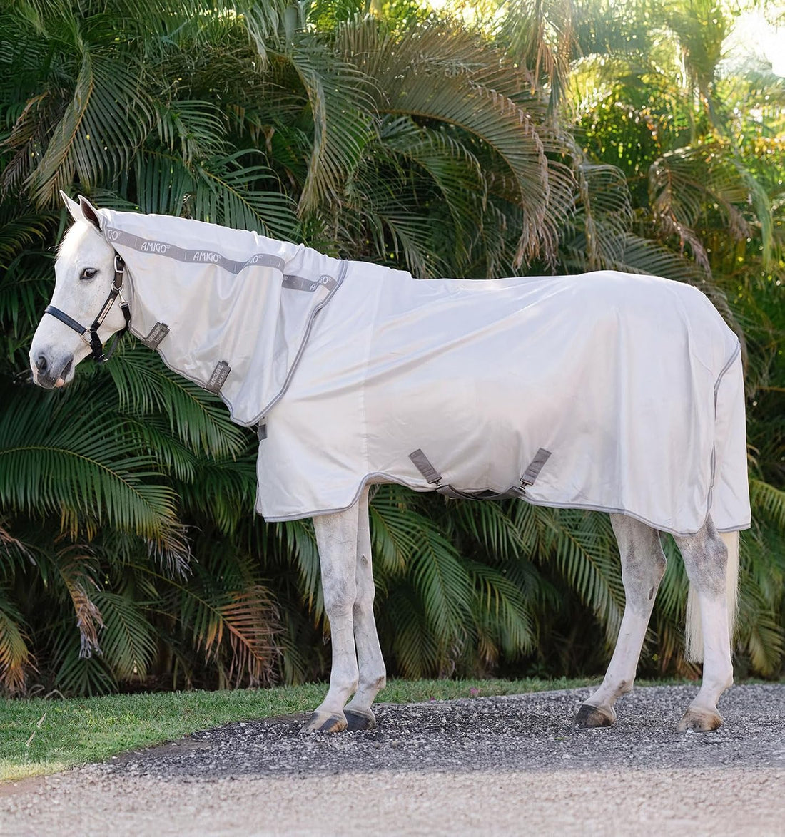 Horseware® Amigo® Integrated Fly Sheet - Silver/Titanium Grey & Silver