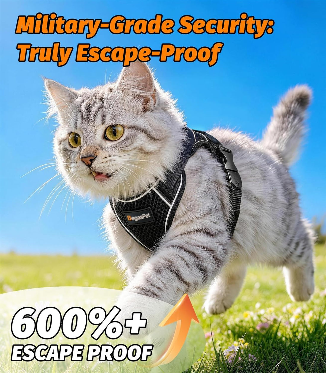 Cat Harness and Leash for Walking