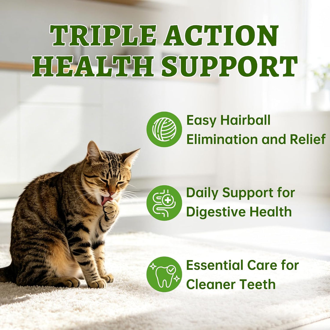 Just Try 500g Cat Grass Sticks,Cat Grass Treats for Teeth Cleaning