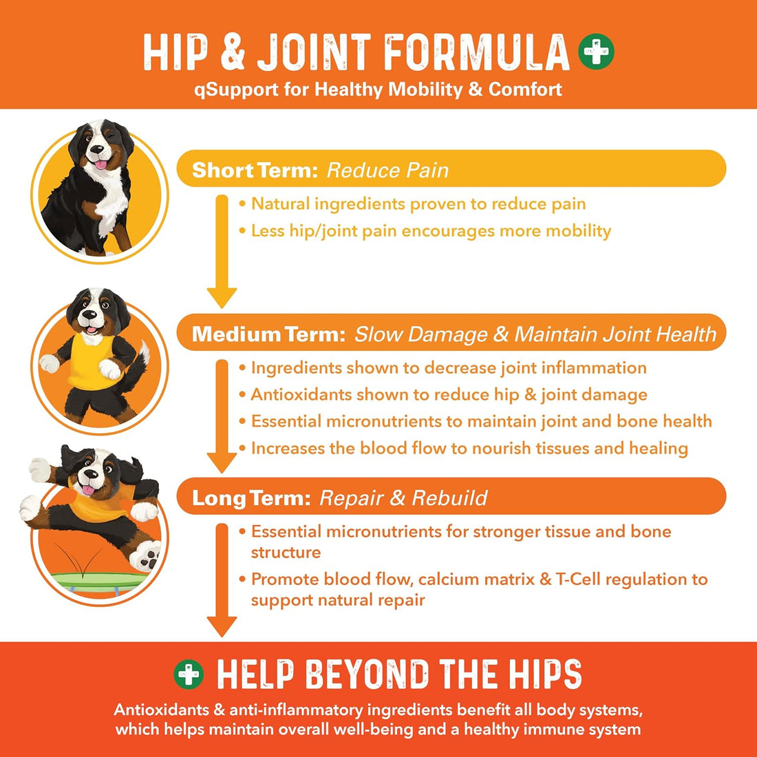 Bernie's Healthy Hips, Hip and Joint Supplement for Dogs