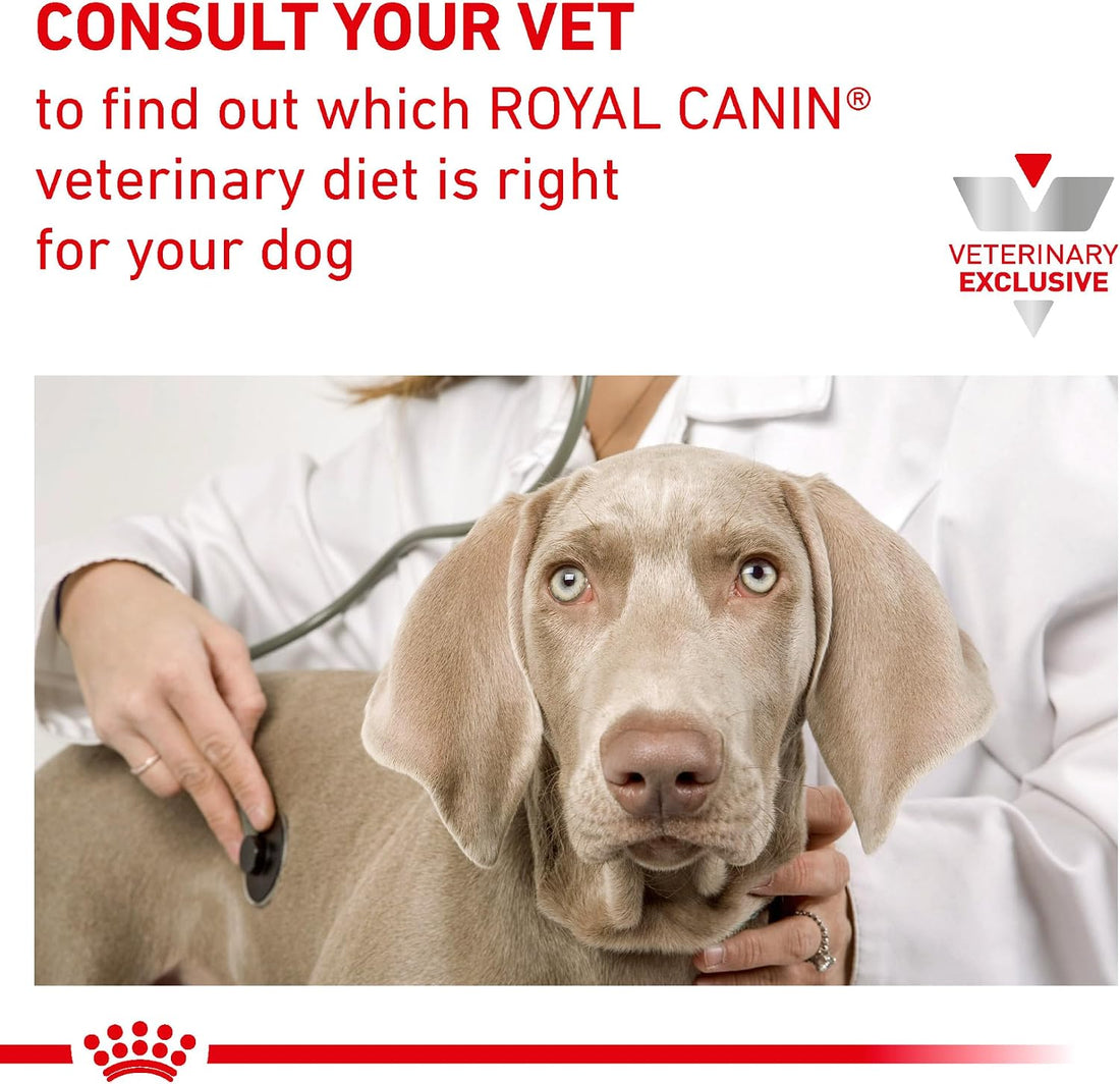 ROYAL CANIN Veterinary Renal Support Early Consult Dog Food, 5.2 oz