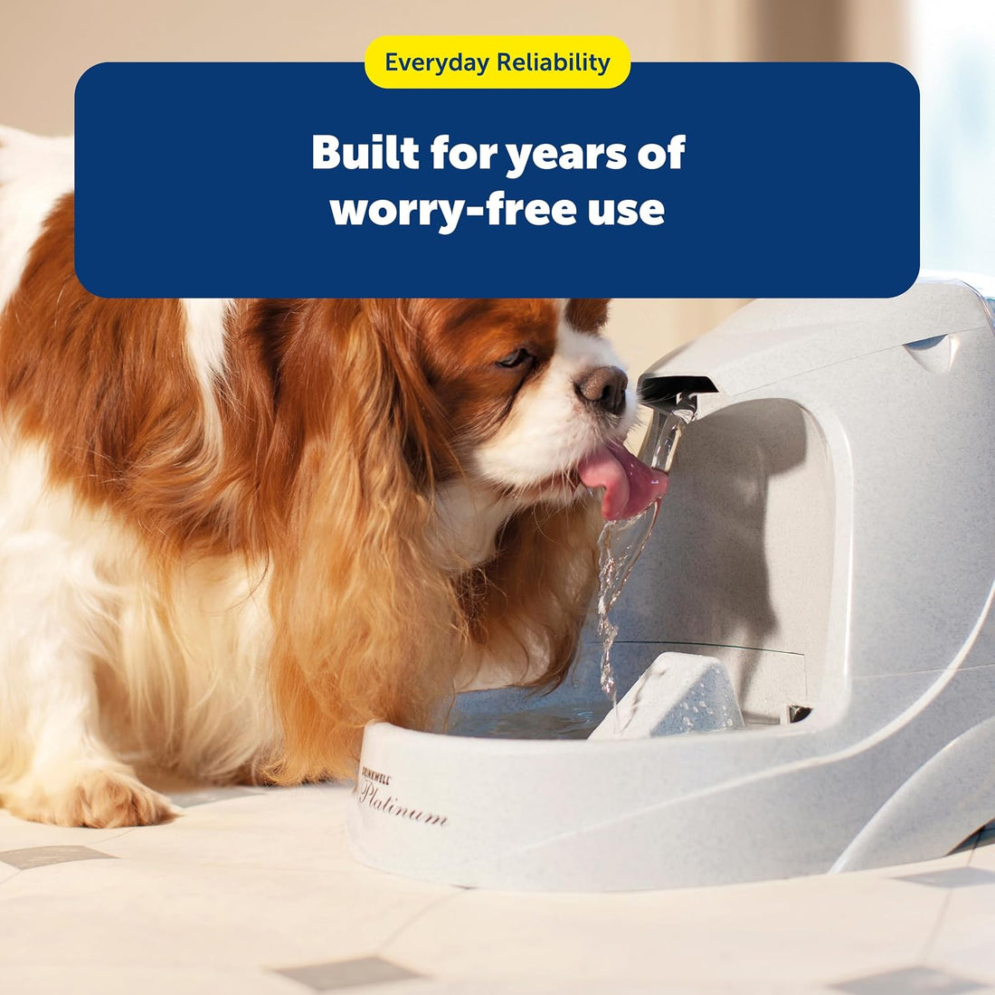 PetSafe Simply Feed Power Adapter for Automatic Dog and Cat Feeder