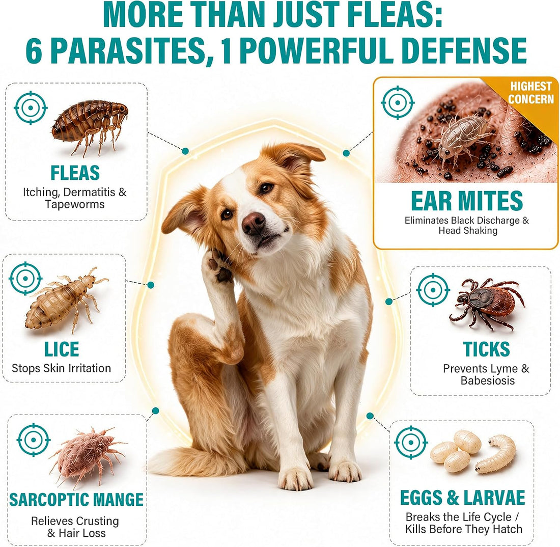 Flea and Tick Preventative for Dogs 5-22 lbs, Topical Flea Drops