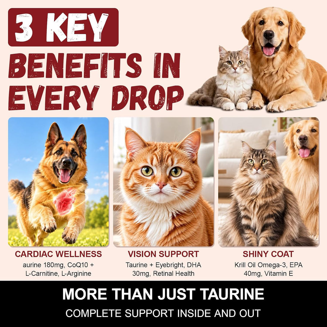 Taurine Drops for Dogs & Cats
