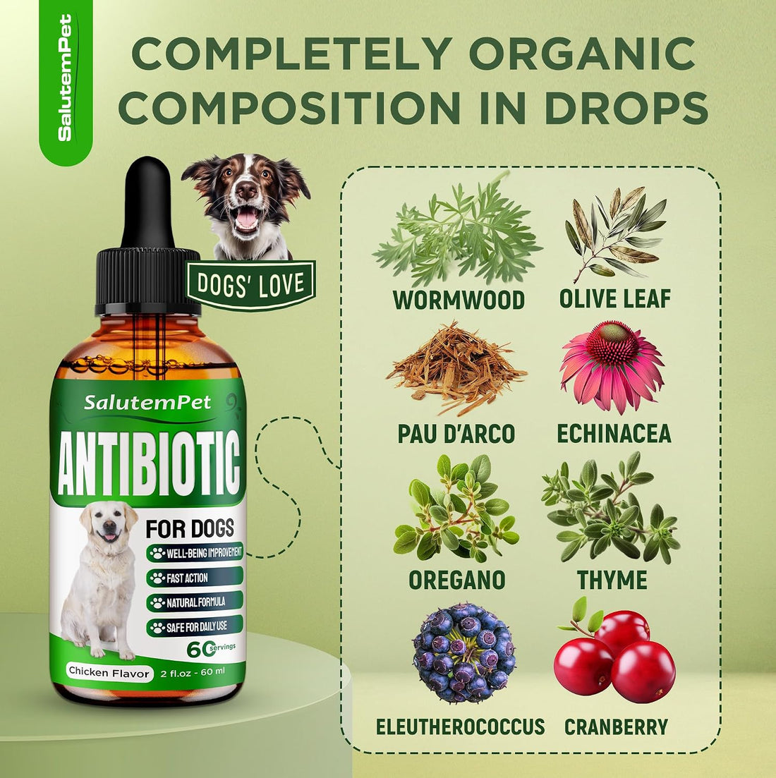 Dog Antibiotics for Infections, Cough, & Itching