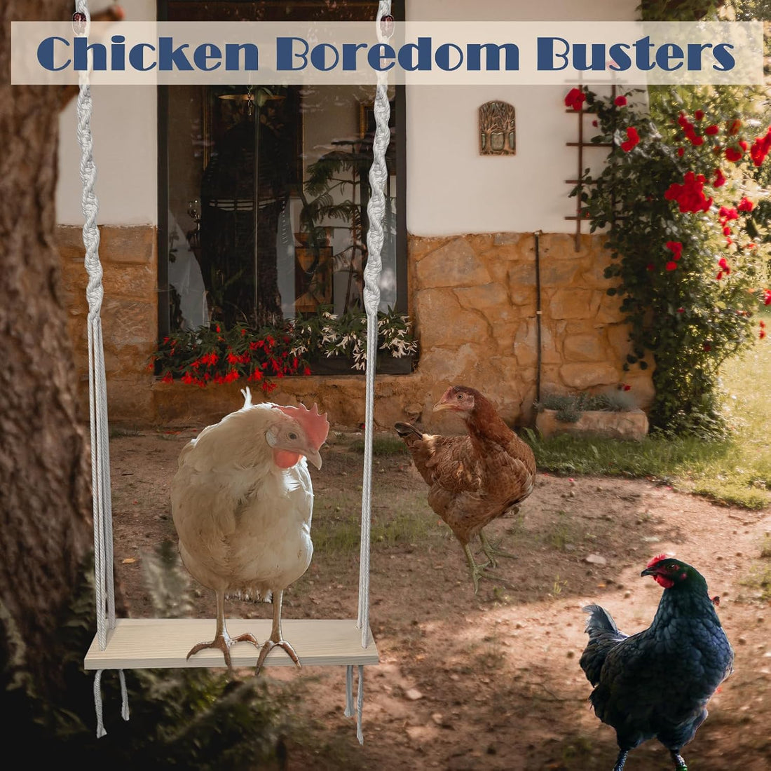 HahaMagic Chicken Swing Toy for Large Chicken Coop