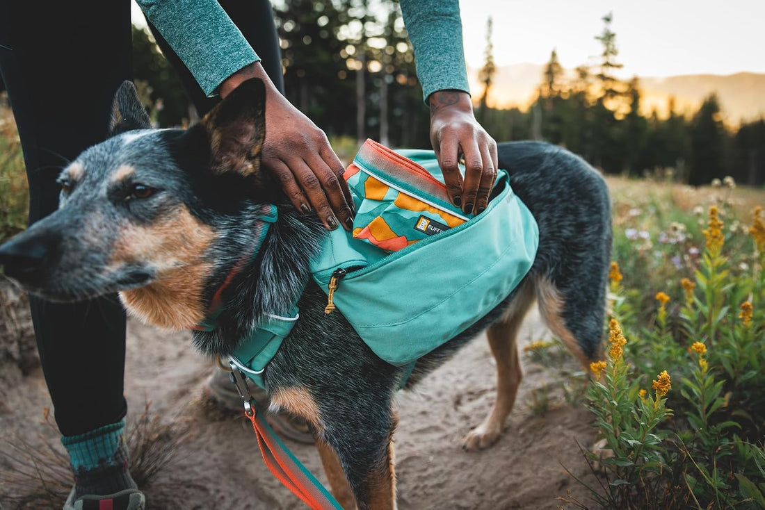 Ruffwear, Quencher Collapsible Dog Bowl