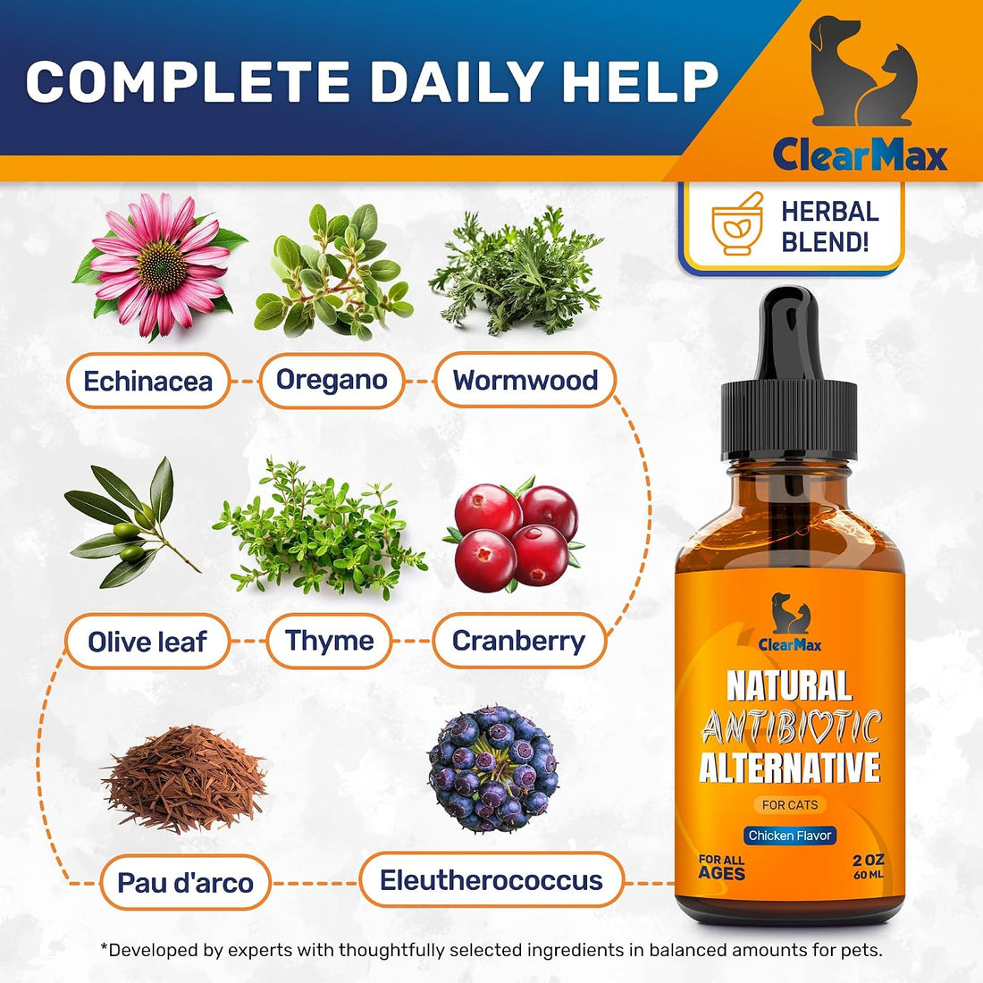 Cat Antibiotic Respiratory Support During Cough & Allergies