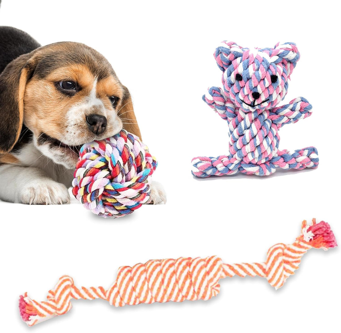 SunGrow Teddy Bear Puppy Teething Toy