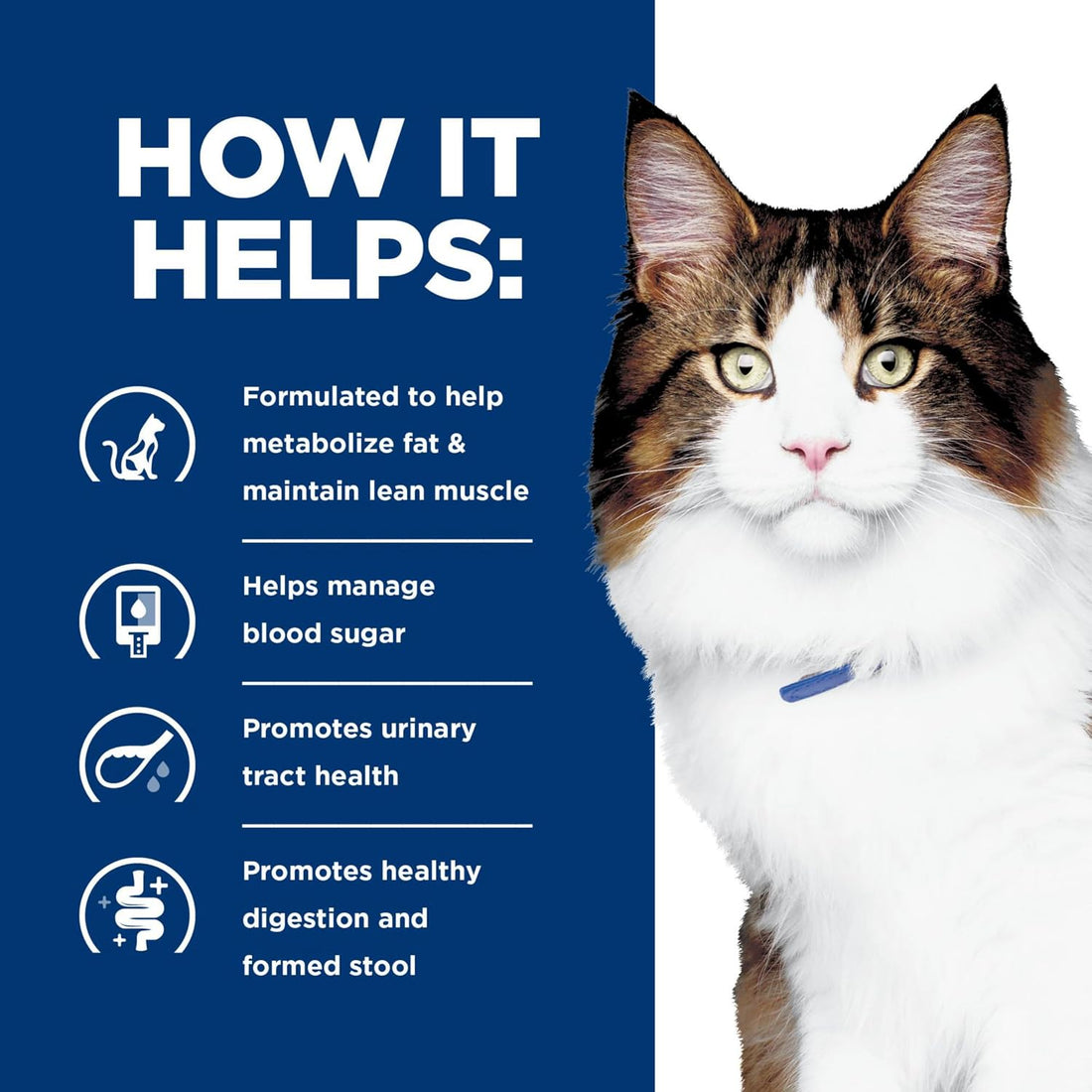 Hill's Prescription Diet w/d Multi-Benefit