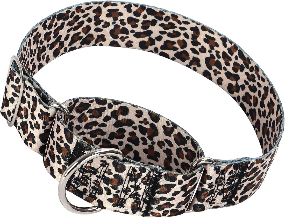 1.5 inch Skulls Martingale Collar for Dogs,Training Collar for Large