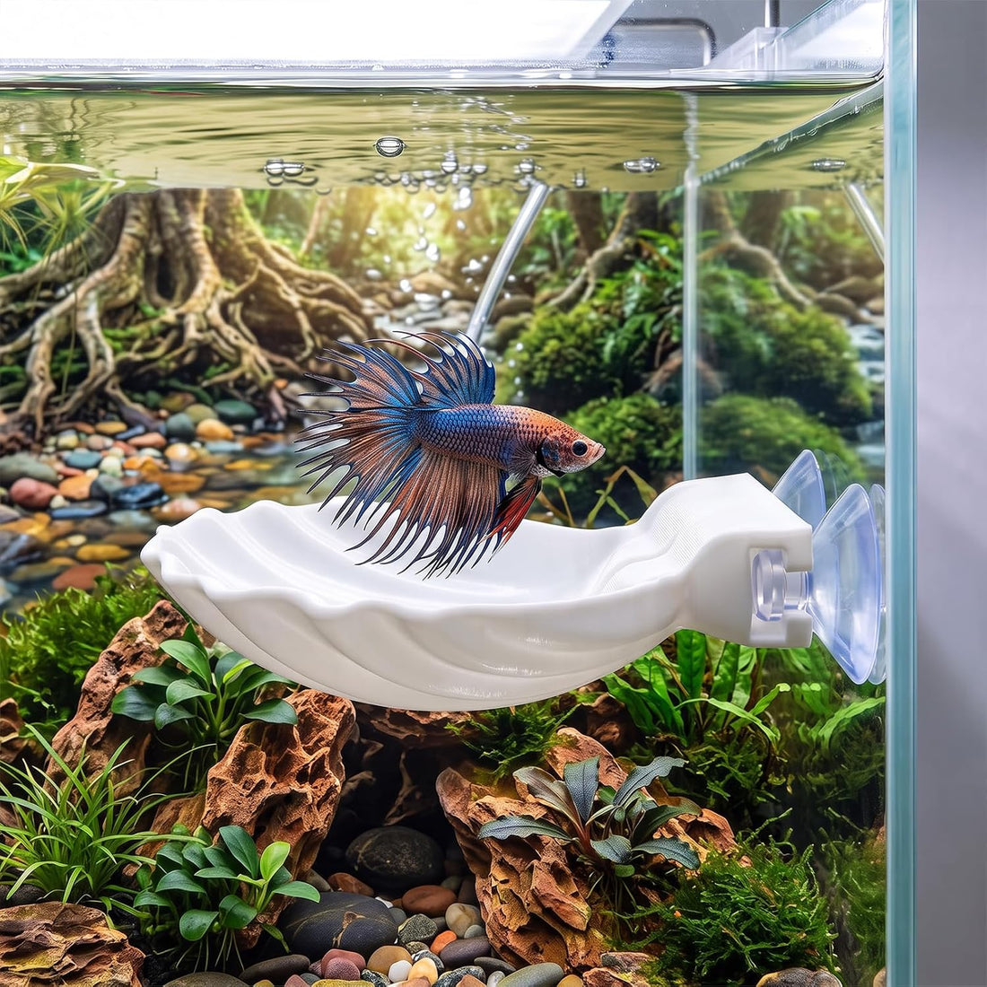 Betta Fish Hammock Shell, Shell Bed with Strong Suction Cup (White)