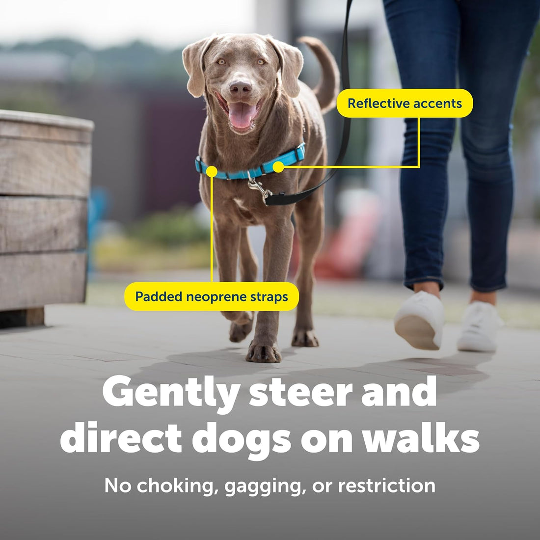 PetSafe Easy Walk Deluxe Dog Harness, No Pull Dog Harness