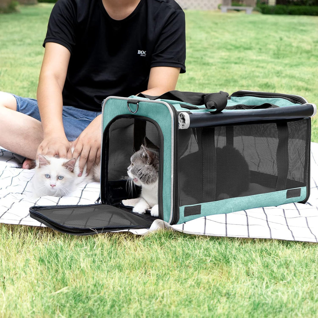 GAPZER Small Dog Carrier Yorkshire Puppy Softshell Chihuahua