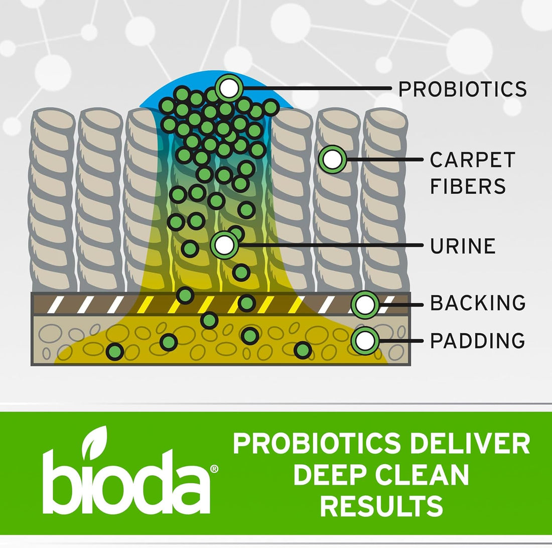 Bioda Commercial Strength Enzymatic Stain & Odor Eliminator for Pets