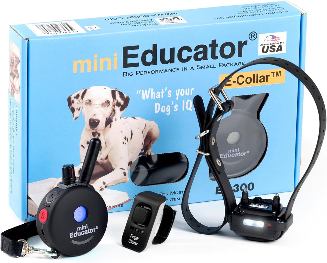 E-Collar Mini Educator ET-300 Remote Dog Training Collar